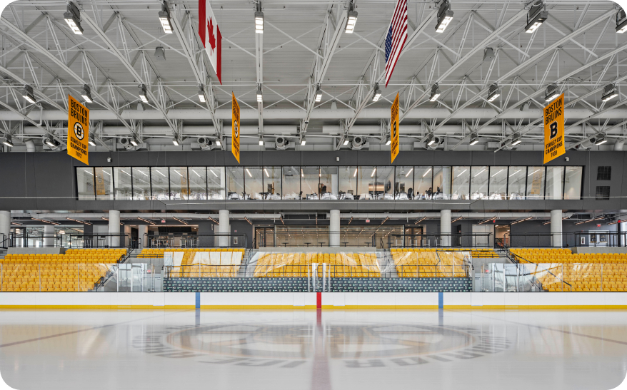 bruins logo ice rink